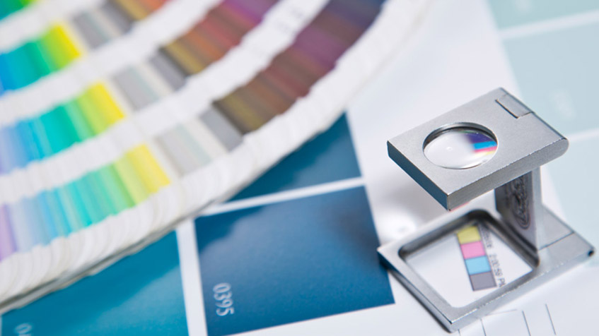 Manual Da Marca Definindo Cores