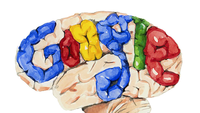 Tudo Que Você Precisa Saber Sobre o Rankbrain, o Cérebro Humano do Google